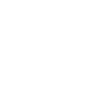 Realtor